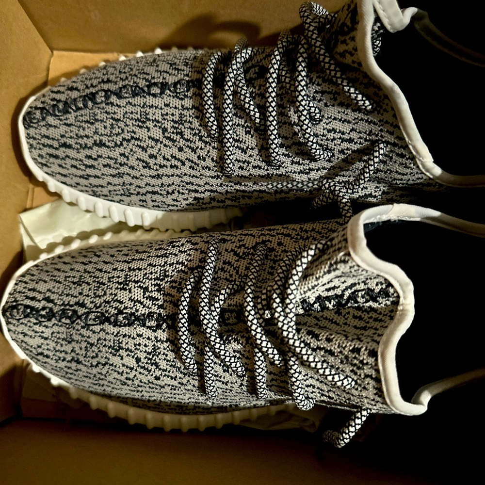 Adidas Yeezy 350 Turtle Dove